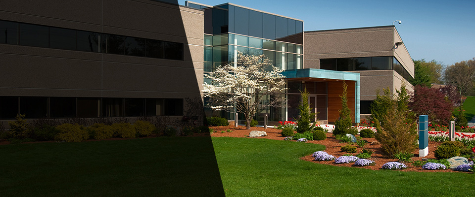 Penfield Landscapers