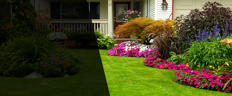 Penfield Landscapers