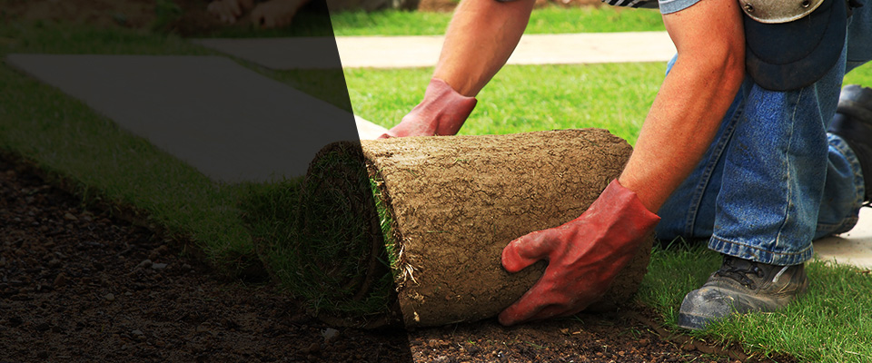 Penfield Landscapers
